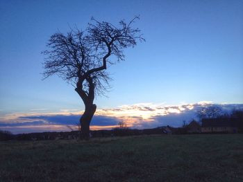 Bare trees on landscape against sky