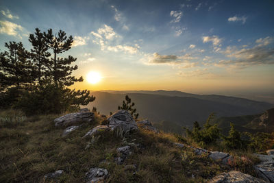 Scenic view of sunset