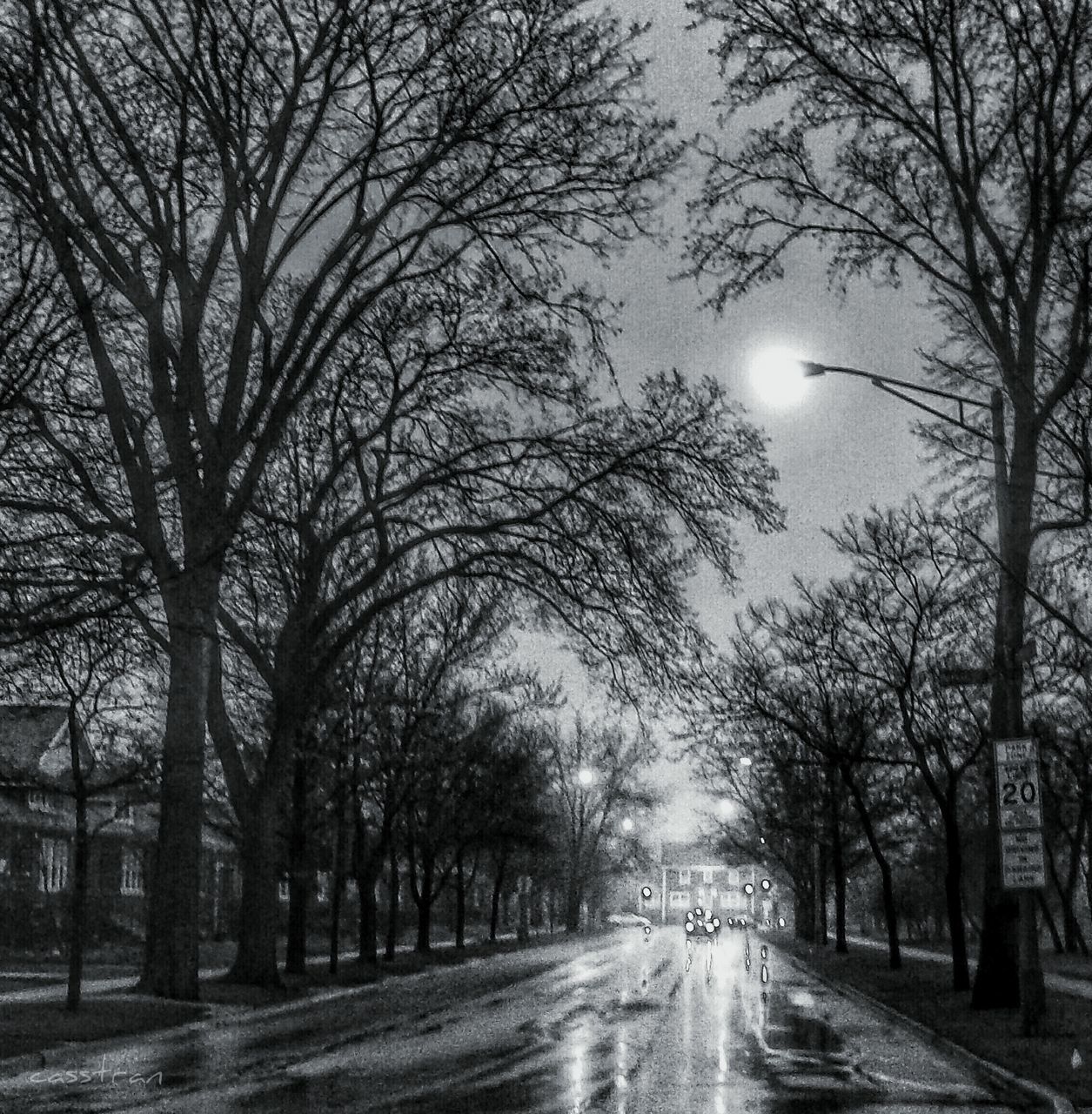 the way forward, tree, bare tree, diminishing perspective, transportation, road, vanishing point, treelined, street, empty road, empty, sky, long, branch, nature, weather, country road, outdoors, no people, street light