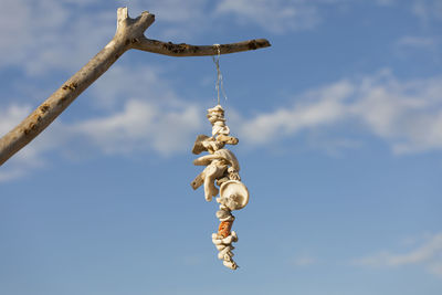 Low angle view of a bird on tree against sky