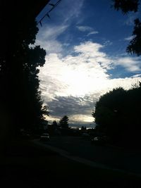 Road with trees in background