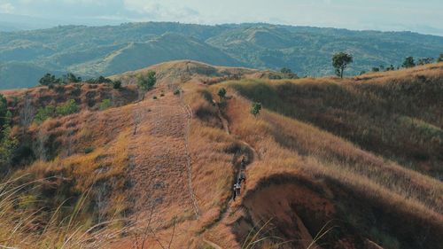 Mountain trail