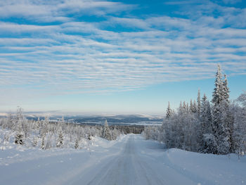 Snow covered road amidst trees against sky