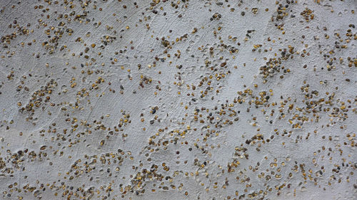 Full frame shot of weathered wall