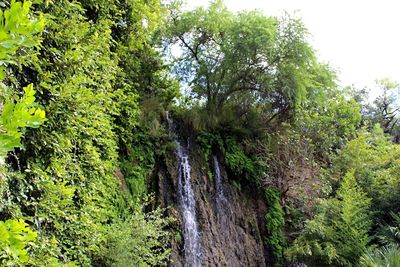 Scenic view of waterfall in forest against sky