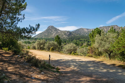 A view of the natural forests and mounatins behind the bustleing town of marbella