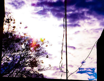 Low angle view of silhouette trees against sky during sunset