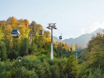 Overhead cable car amidst trees against sky