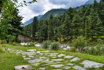 Scenic view of trees and mountains against sky