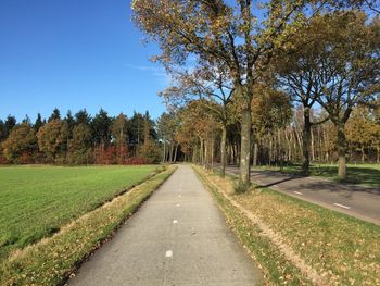 Empty road with trees in background