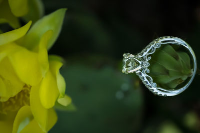 Close-up of water drop on leaf