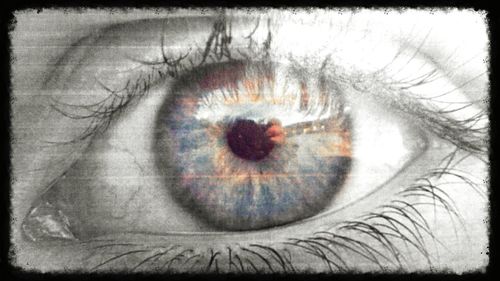 Extreme close up of human eye