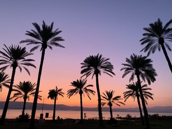 Silhouette palm trees at beach against sky during sunset