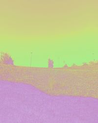 Scenic view of field against clear sky