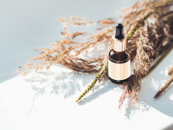 Concept of apothecary cosmetic.  glass bottle of essential oil. natural cosmetic remedy with tag.