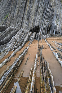 High angle view of rocky formations growing on a beach