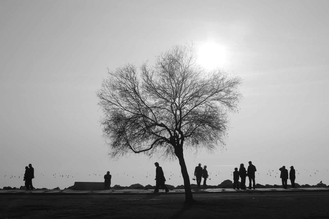 silhouette, tree, men, togetherness, lifestyles, leisure activity, person, clear sky, sky, nature, sunlight, bare tree, copy space, tranquility, walking, tranquil scene, medium group of people, branch, beauty in nature