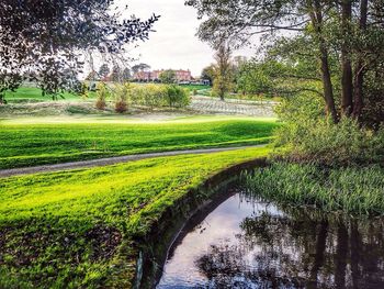 Scenic view of river