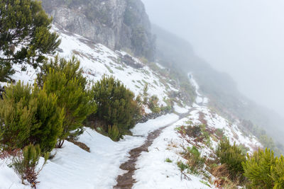 Scenic view of snow covered mountains against sky