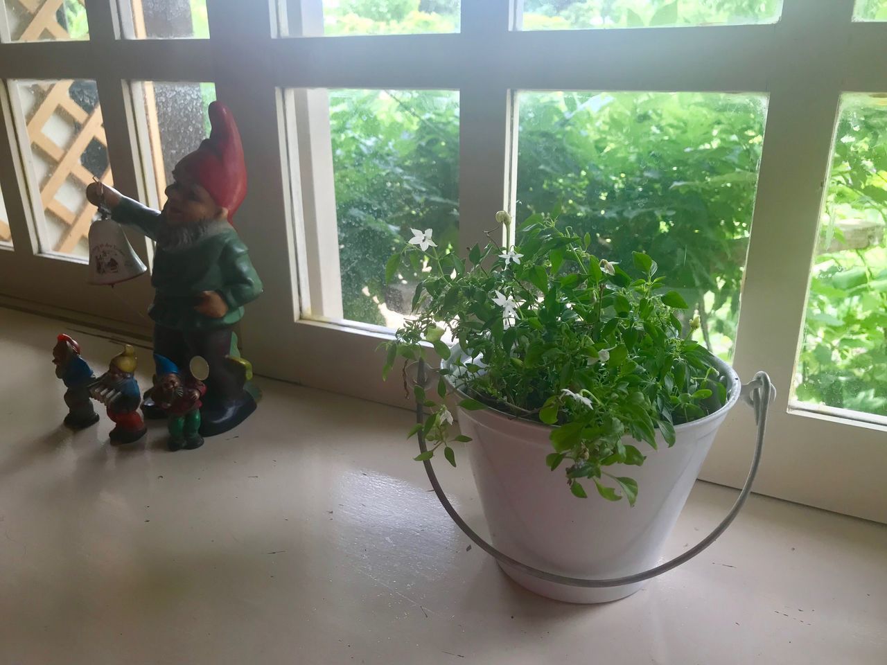 POTTED PLANTS ON WINDOW SILL