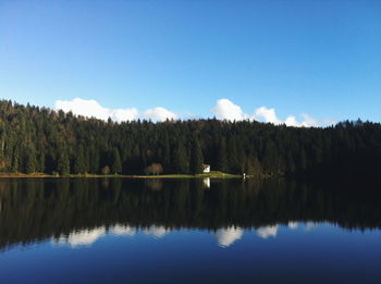 Reflection of trees in calm lake