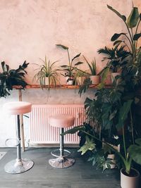 Potted plants on table against wall