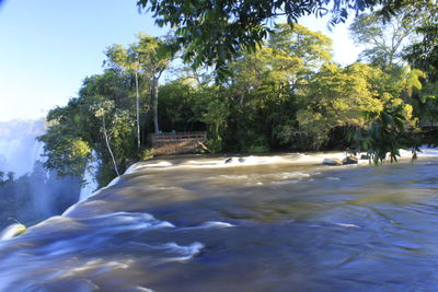 Scenic view of trees against sky