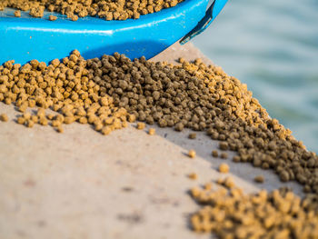 Close-up of bread on sand at beach