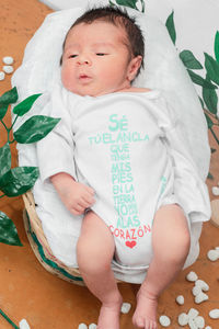 Beautiful newborn baby with eyes open, overhead shot, top view in bamboo fiber basket and surrounded