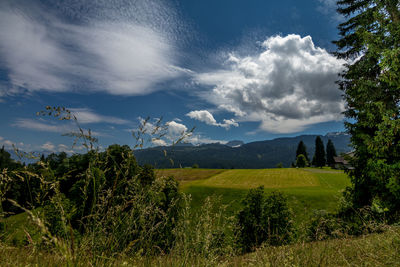 Scenic view of field against cloudy sky