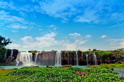 View of waterfall with plants in foreground