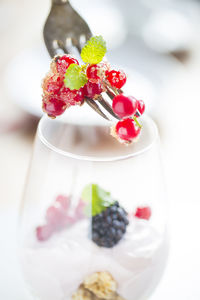 Close-up of dessert served in plate