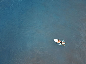 High angle view of bird flying over lake