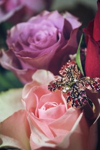 Close-up of rose bouquet