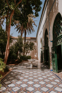 Footpath amidst palm trees and buildings against sky