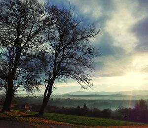 Bare trees on landscape against cloudy sky