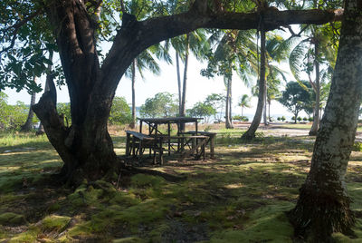 View of trees on landscape