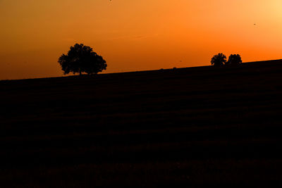 Silhouette tree on field against orange sky