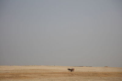 Scenic view of land against clear sky