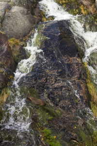 River flowing through rocks in forest