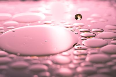 Close-up of water drops on pink background