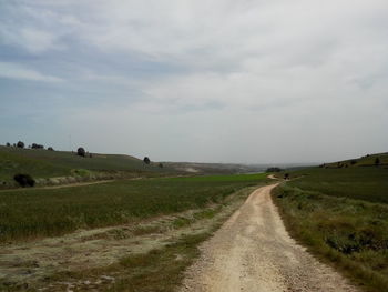 Road passing through field