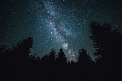 Low angle view of silhouette trees against sky at night