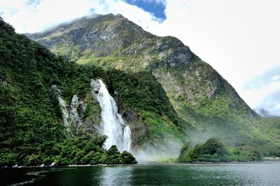 Scenic view of waterfall in forest