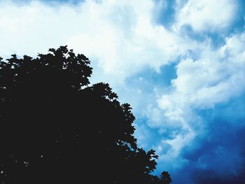 Low angle view of silhouette tree against sky