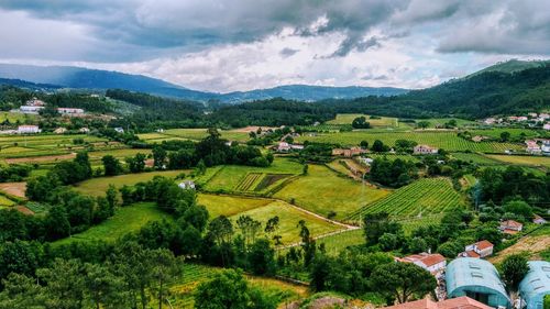 Scenic view of agricultural field against sky