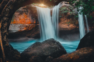 Scenic view of waterfall in forest