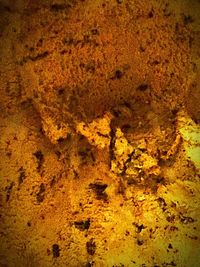 Full frame shot of yellow petals