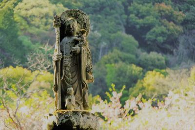 Low angle view of statue against trees