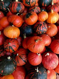 Full frame shot of pumpkins at market stall